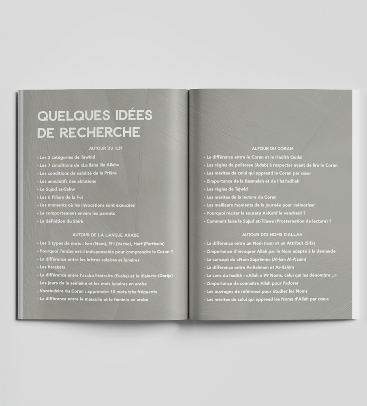 Diamant - Mon carnet de notes  | Carnet d’apprentissage libre et organisation des idées