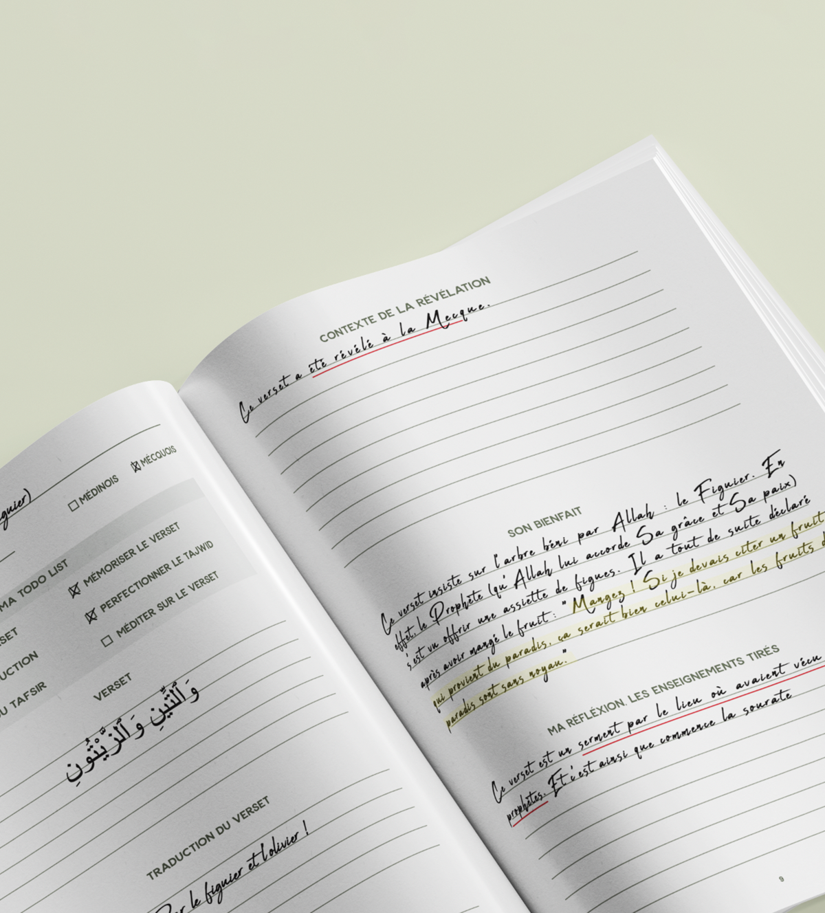 Zeytoune - The Quran Journal, verse by verse study
