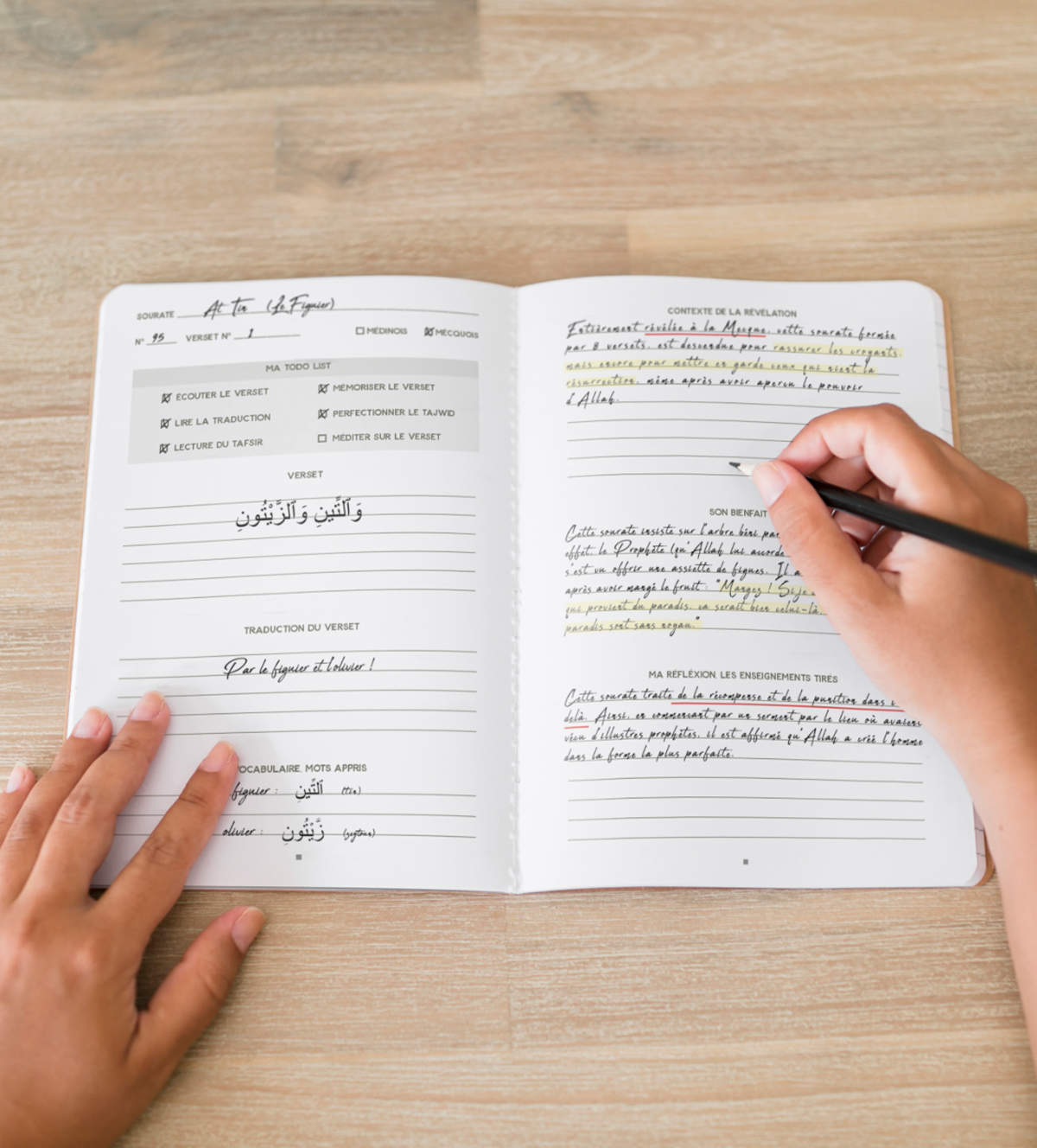 Zeytoune - The Quran Journal, verse by verse study
