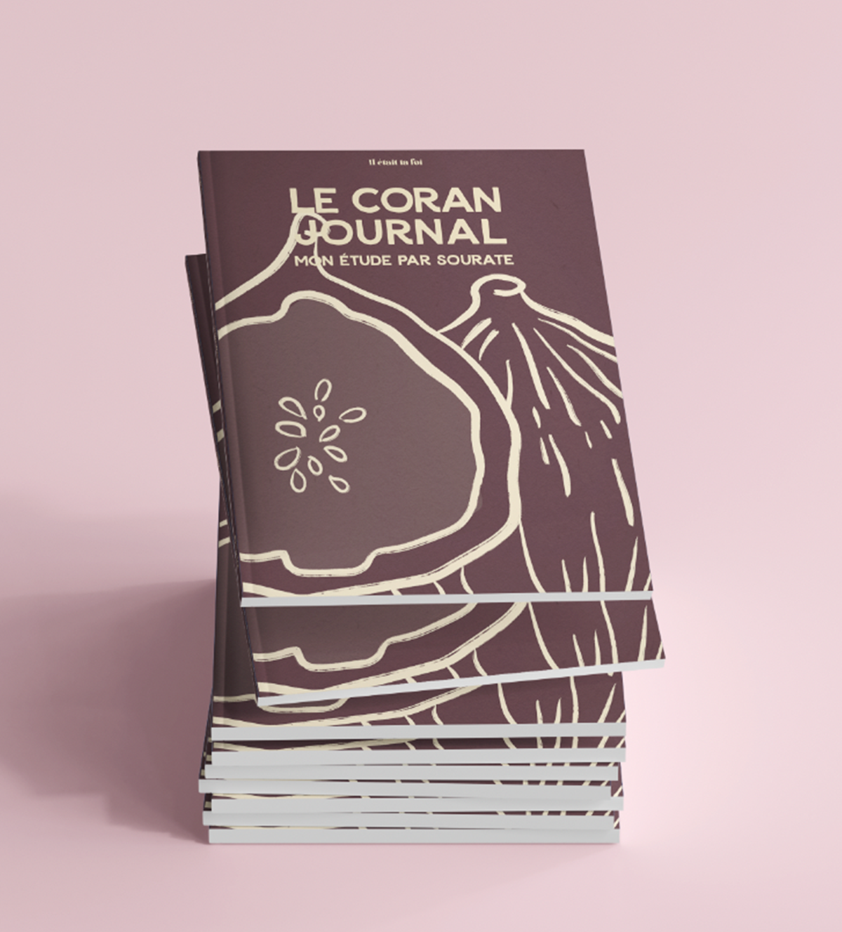 Tine - The Qur'an Journal, surah by surah study