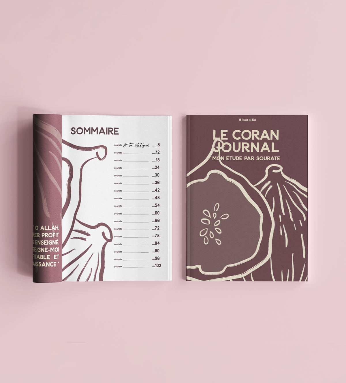 Tine - The Qur'an Journal, surah by surah study