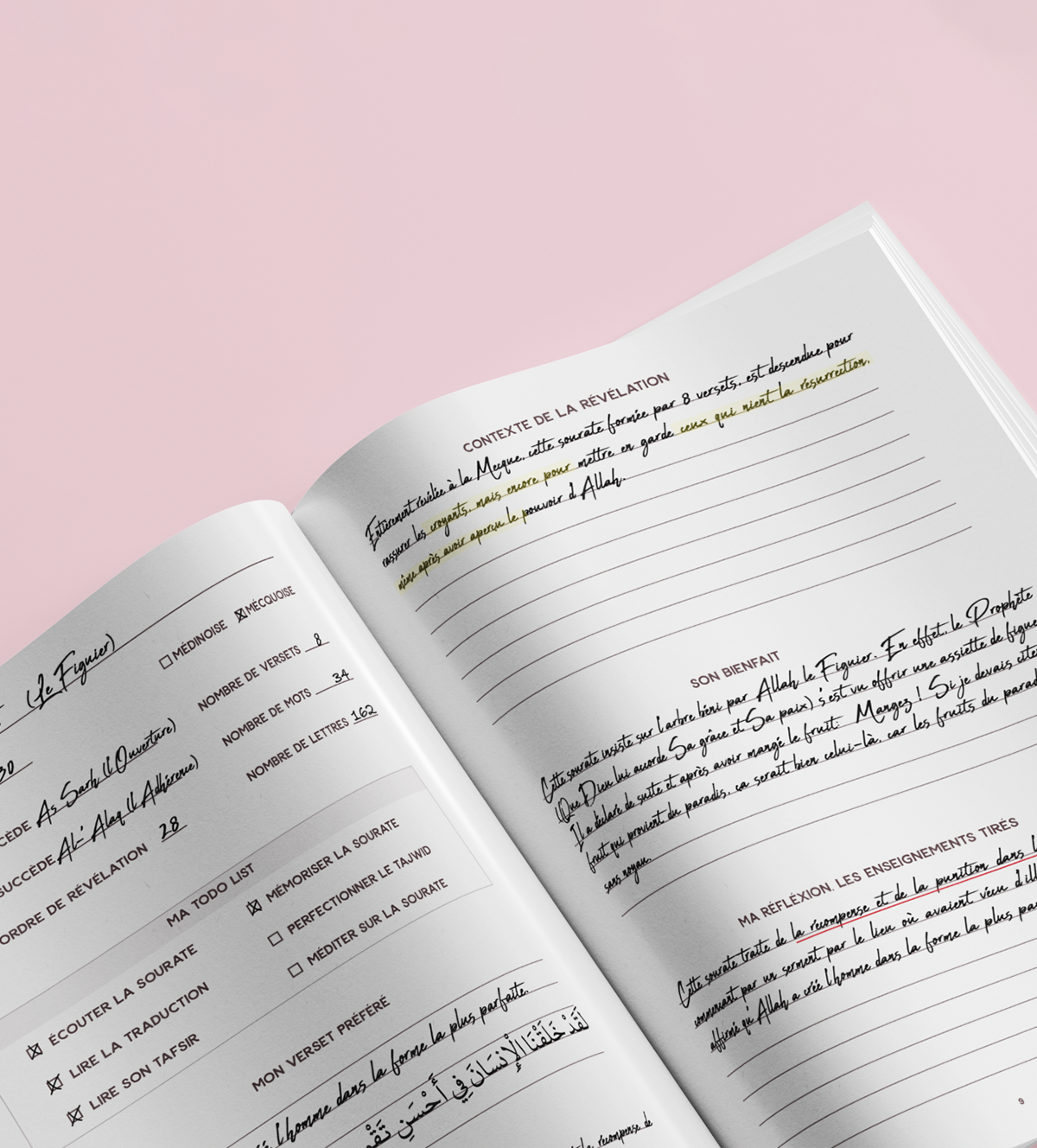 Tine - The Qur'an Journal, surah by surah study